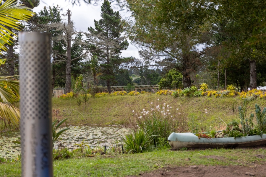 Commercial Property for Sale in Harkerville A H Western Cape